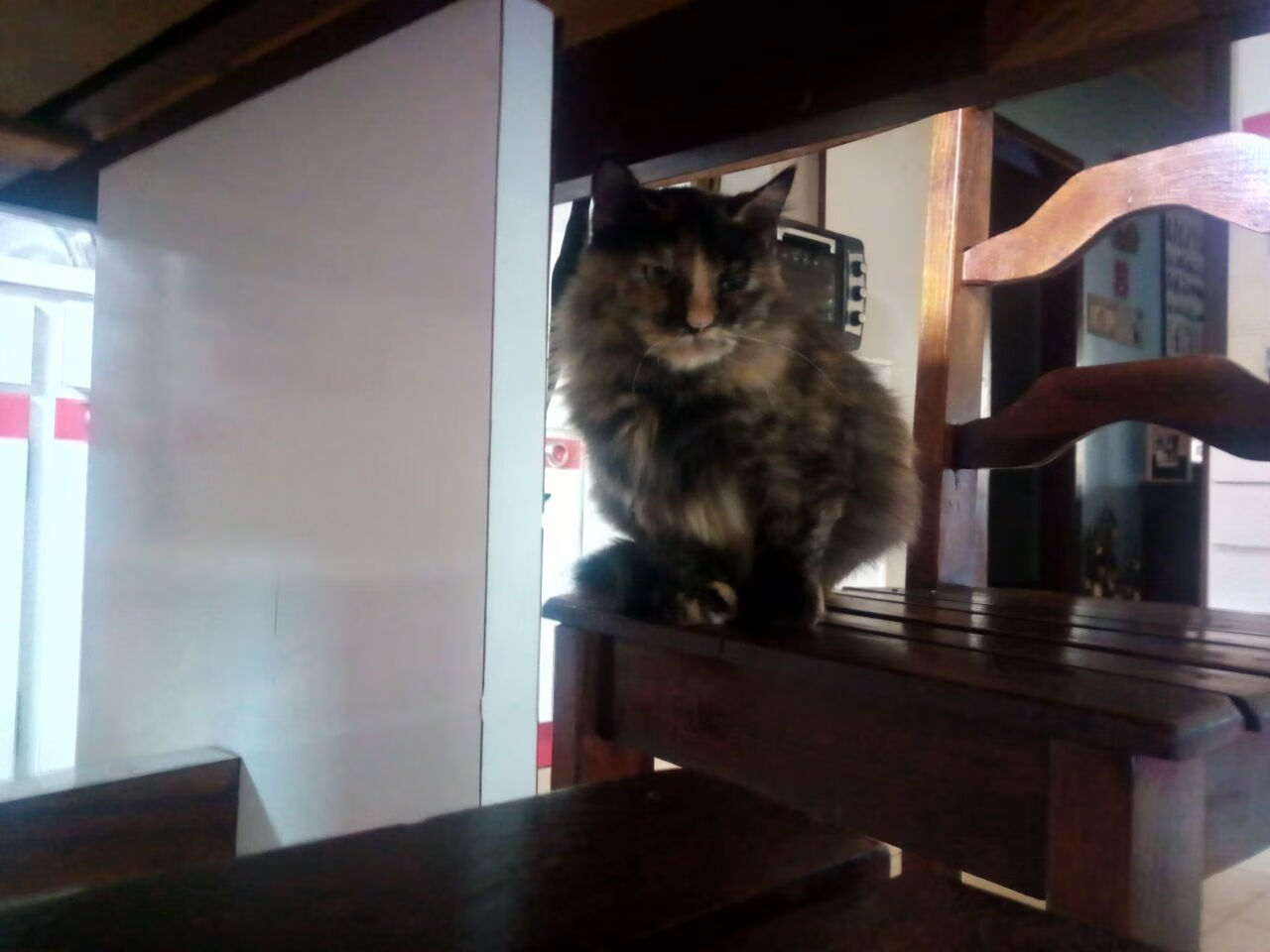 亚洲杯中国足球逆袭 球迷热情不减，足球亚洲杯中国队战绩